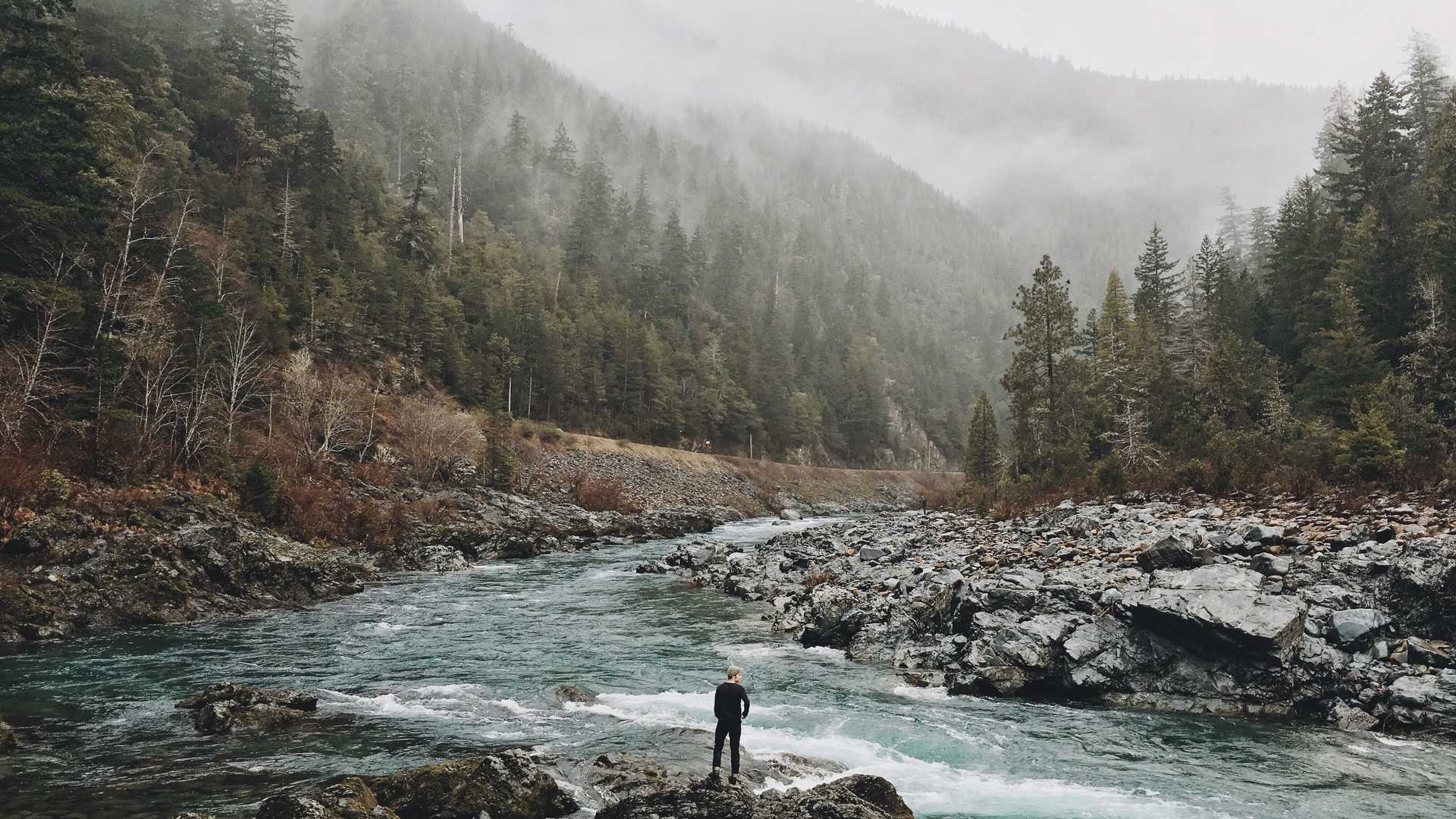 A cabin with a view